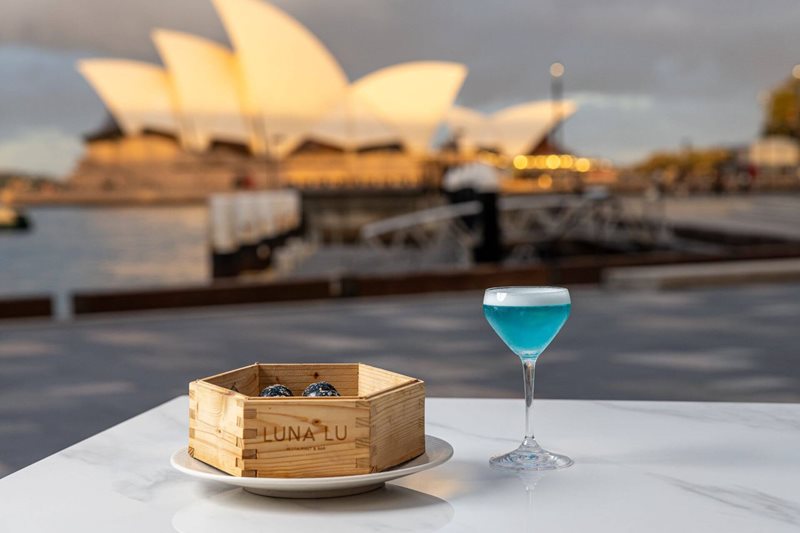 Limited Edition Vivid Sydney Cocktails & Dumplings at Luna Lu