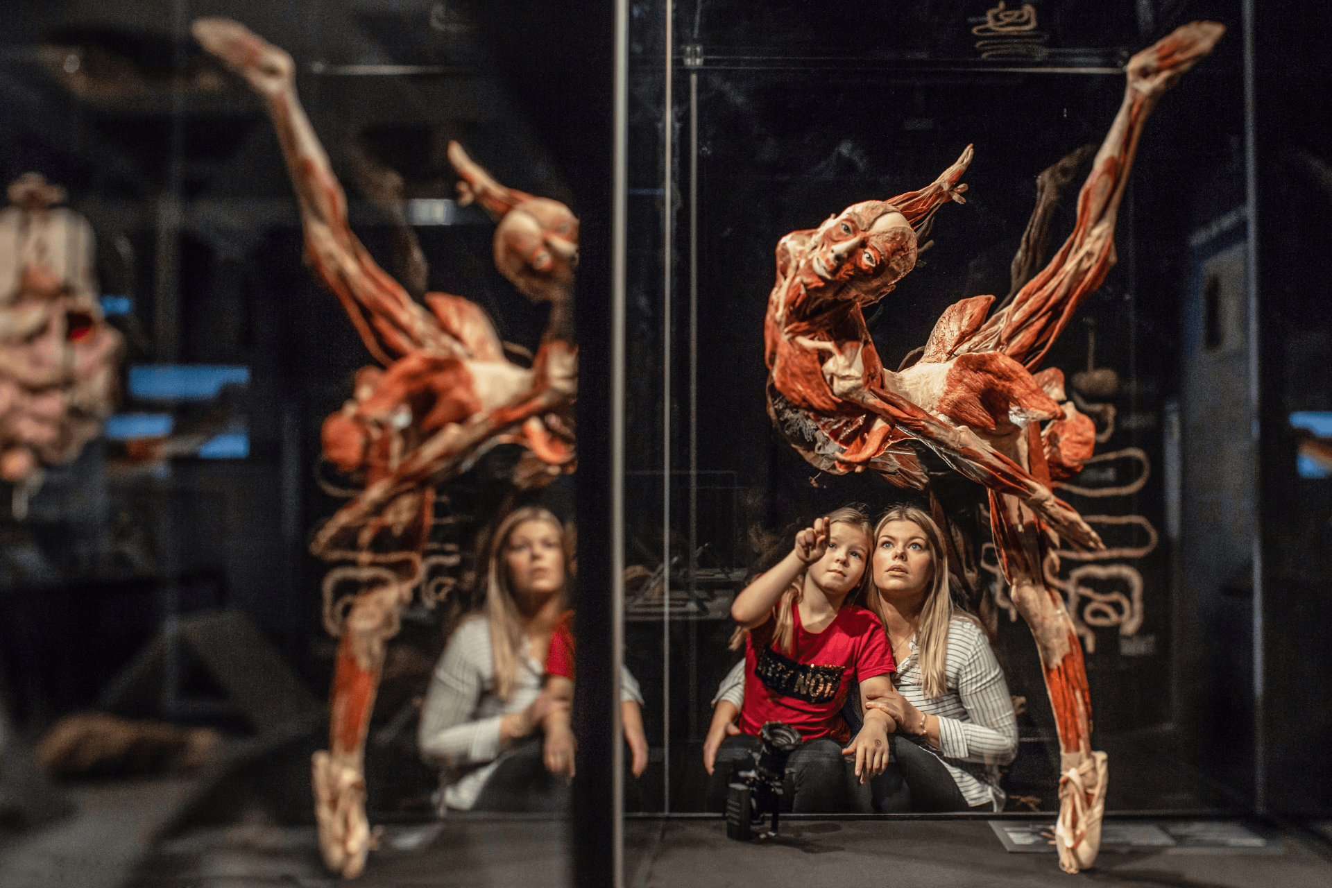 BODY WORLDS: The Anatomy of Happiness