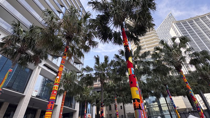 Zonta Says No To Violence Against Women