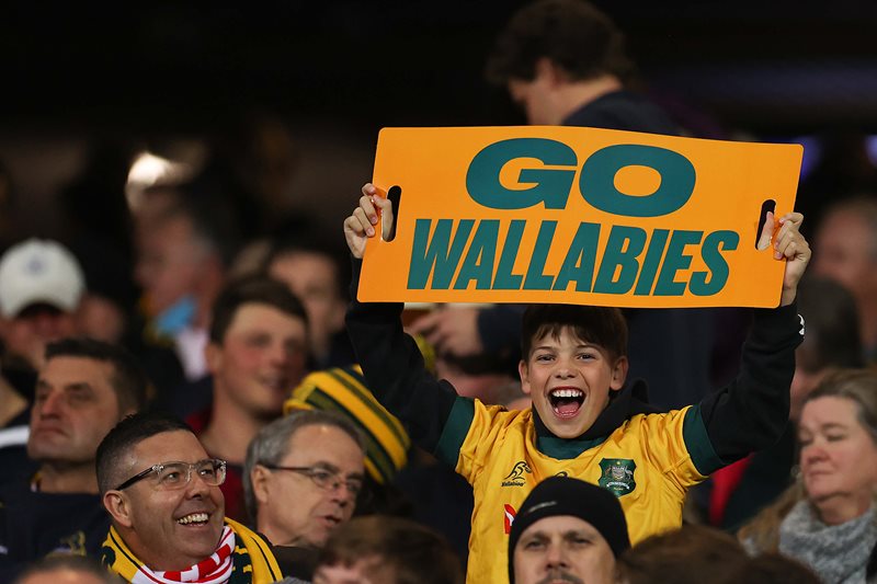 The Lions Series Fan Zone