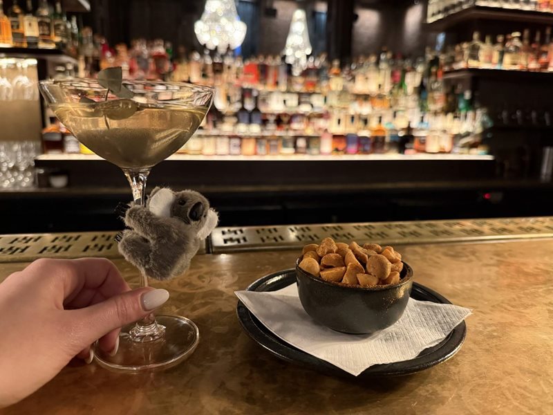 Drop Bear Martini
