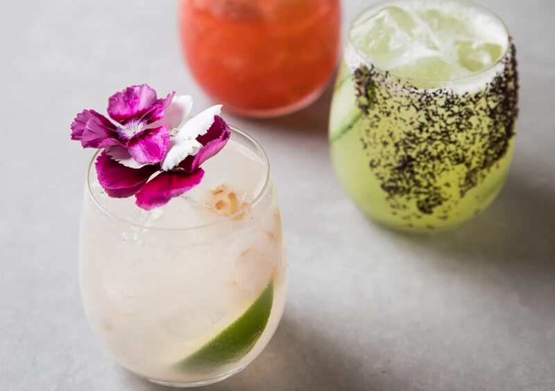 Here are 10 of our favourite gin and cocktail trees! — Craft Gin Club