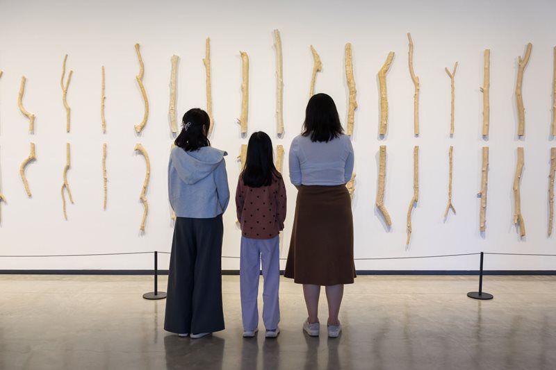 Curator tour: Yasmin Smith