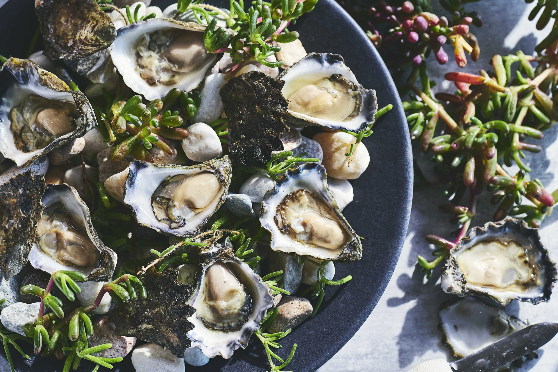 The Dining Room by James Viles at Park Hyatt Sydney