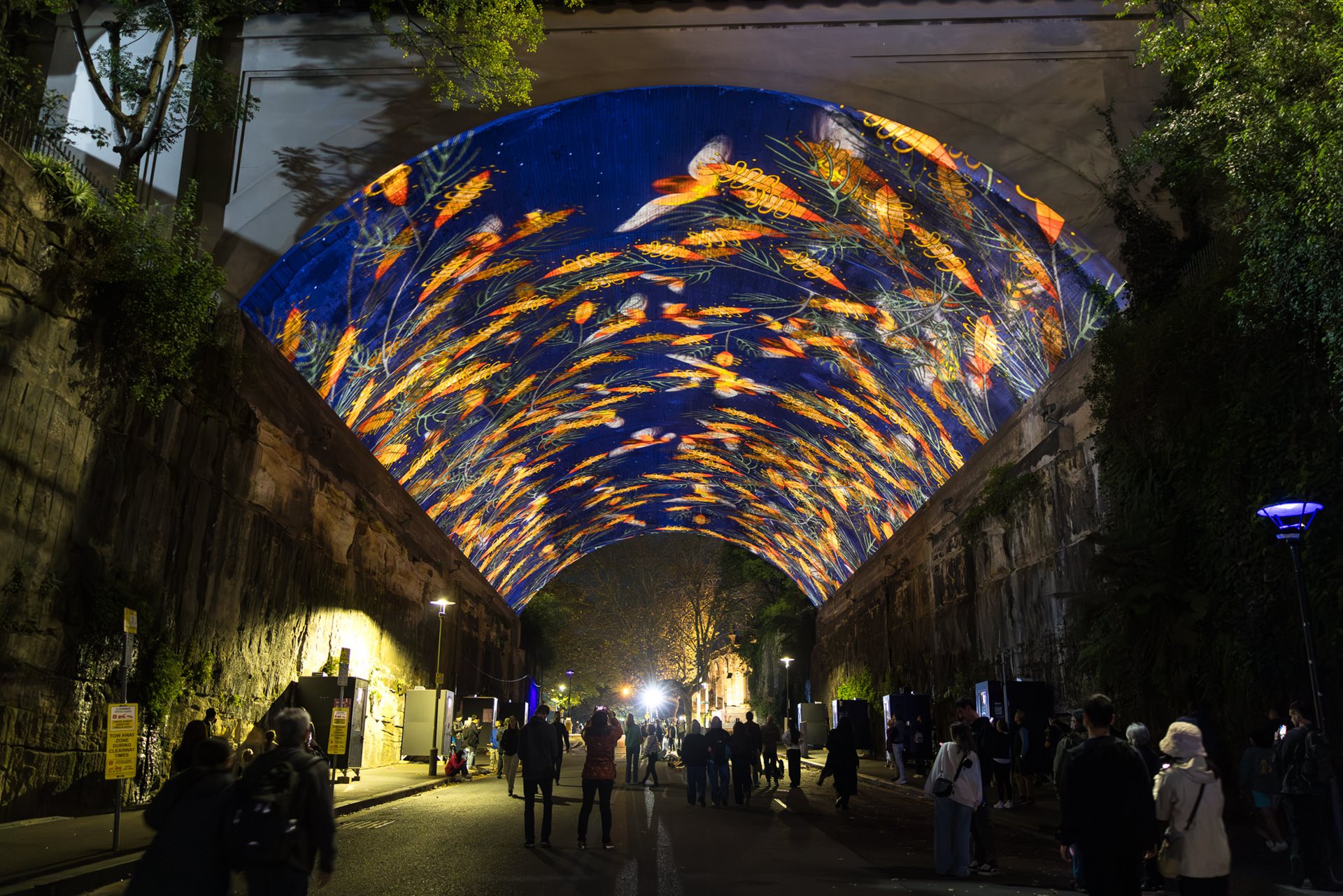 Vivid Sydney