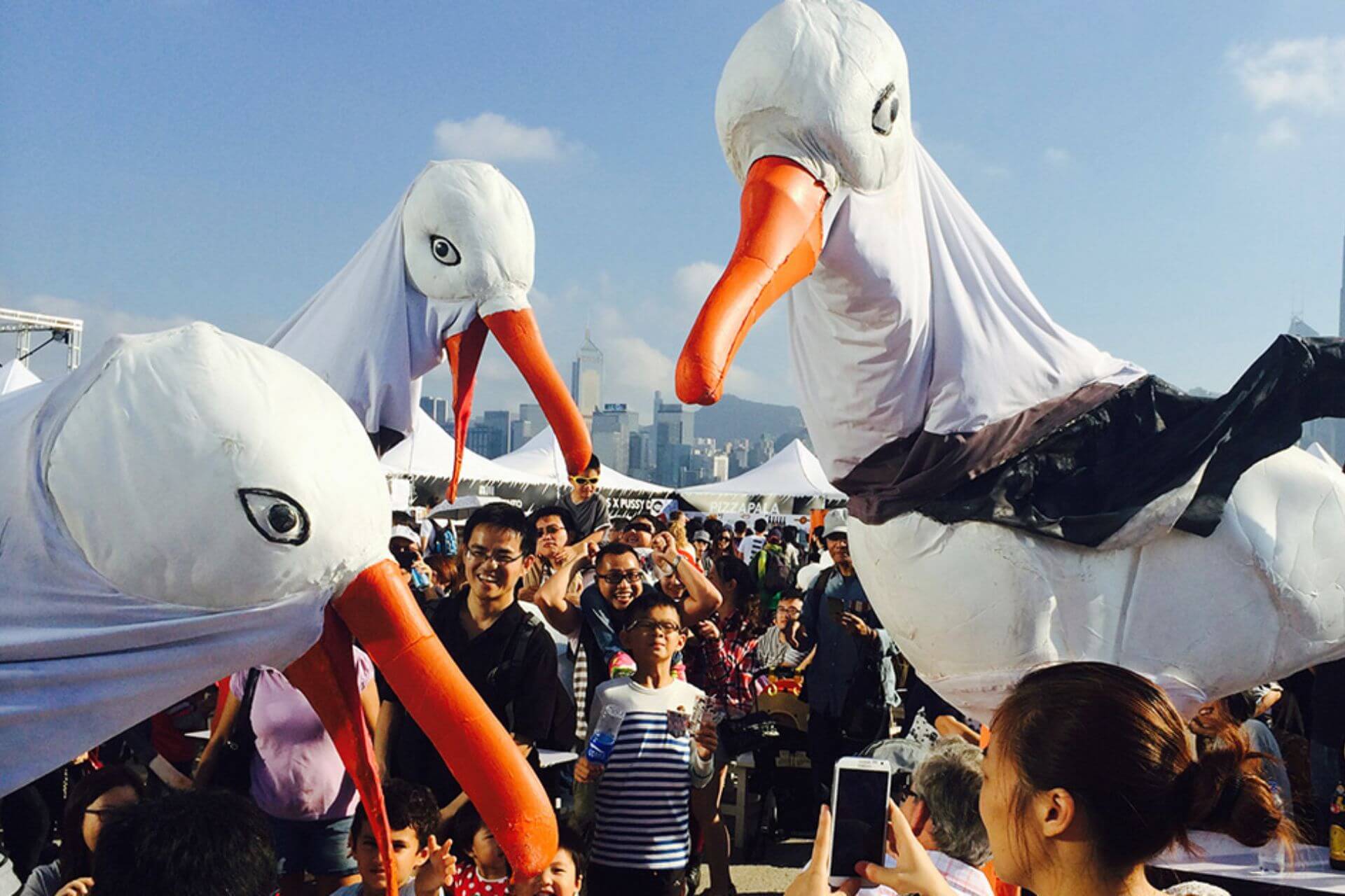 Seagulls