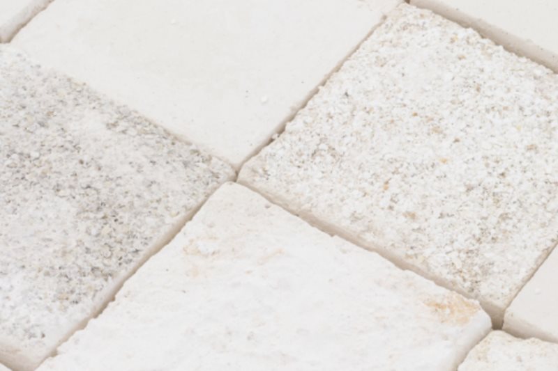 Curator tour: Primavera 2024