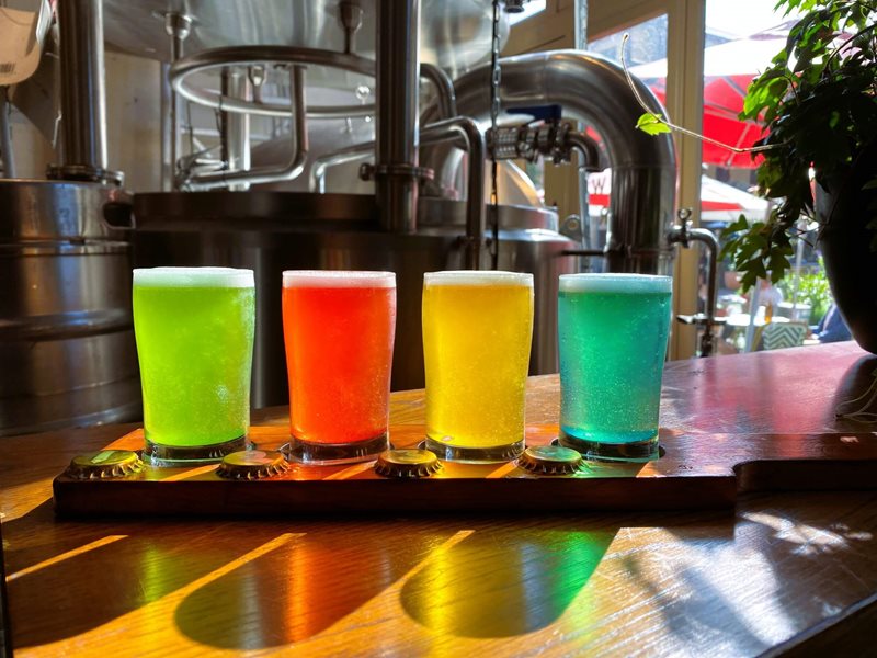 GLIVID Beer Tasting Paddle