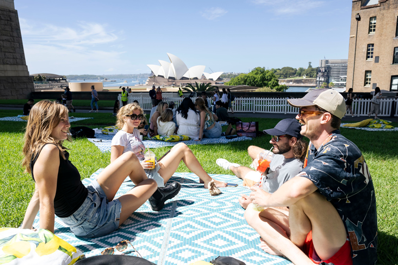 Picnic under the Bridge
