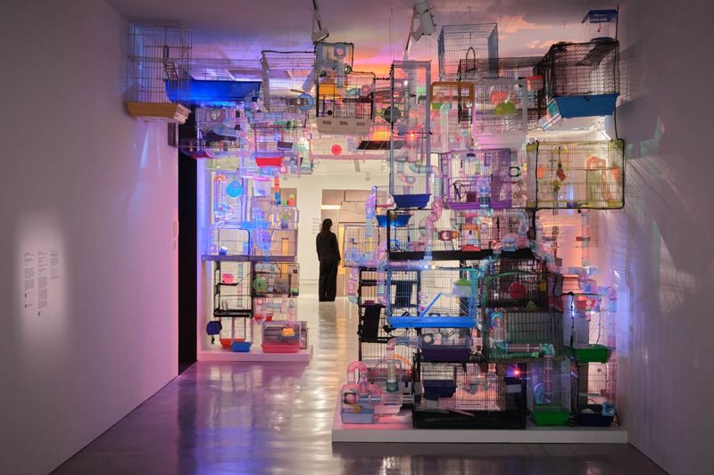 Auslan Tour: Primavera 2025