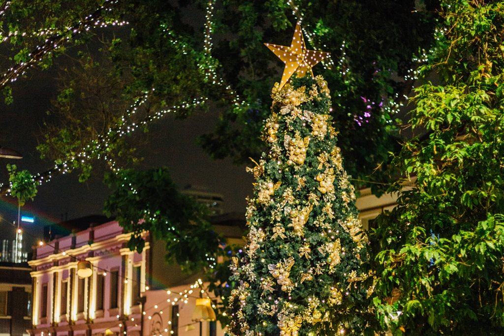 The Rocks | Christmas decorations | The Rocks